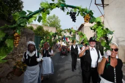le défilé passe en souriant sous les treilles chargées de grappes.